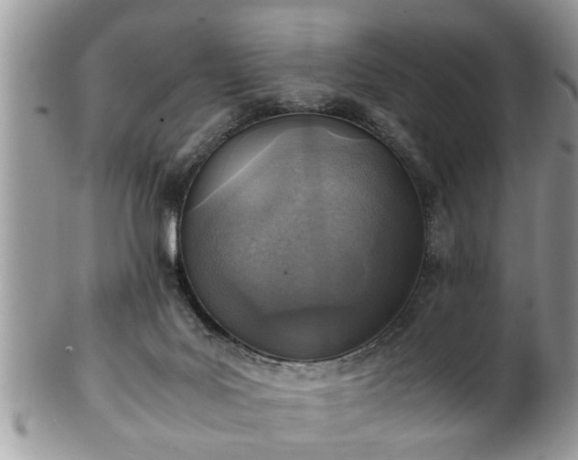 X0000101190027200807071325