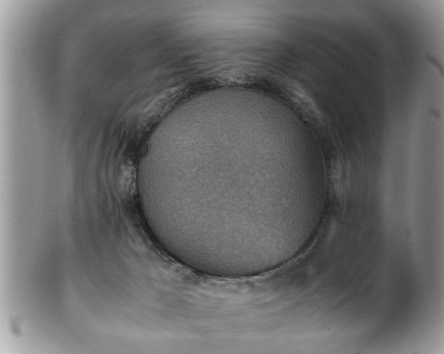 X0000101190029200807071325