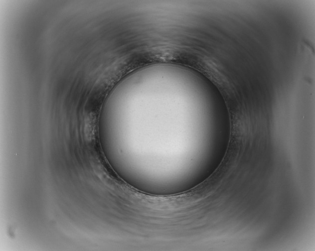 X0000101190030200807071325