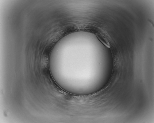 X0000101190033200807071325