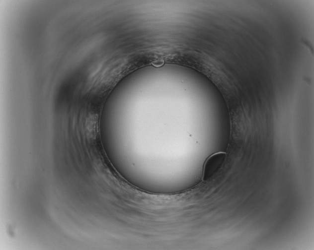 X0000101190034200807071325