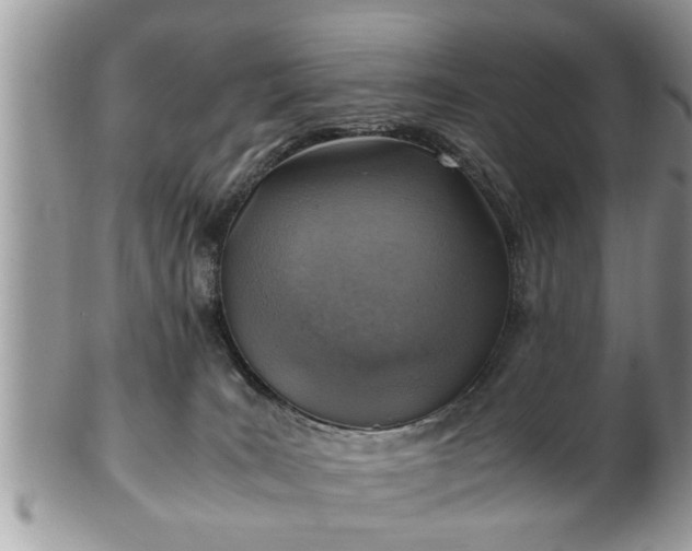 X0000101190035200807071325