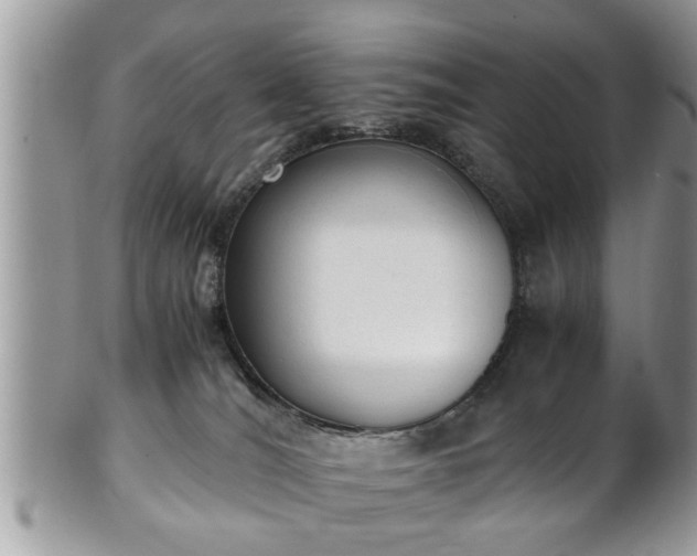 X0000101190036200807071325