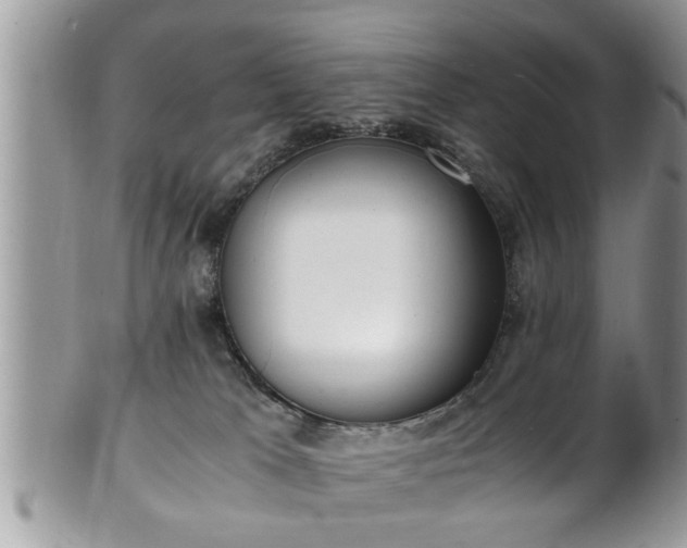 X0000101190037200807071325