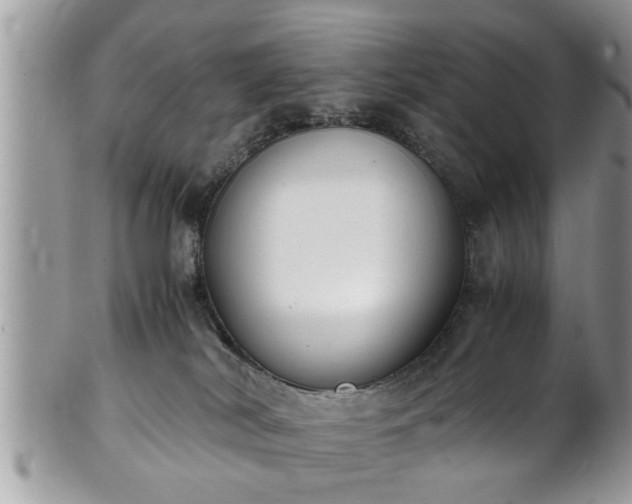 X0000101190038200807071325