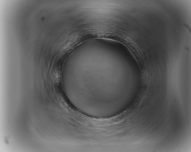 X0000101190039200807071325