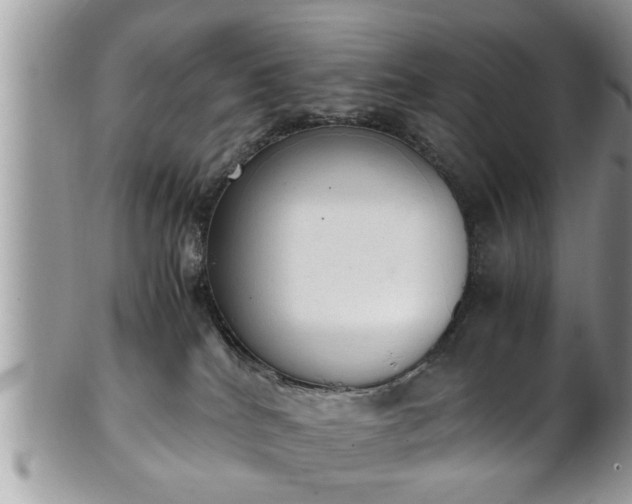 X0000101190040200807071325