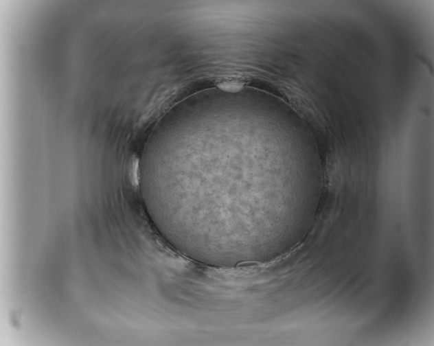 X0000101190041200807071325