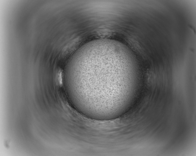 X0000101190042200807071325