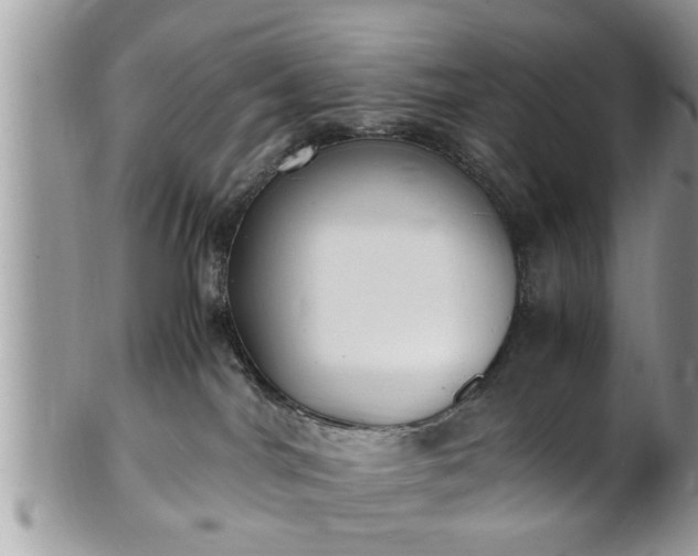 X0000101190044200807071325