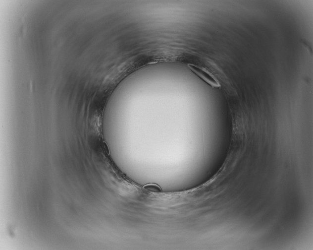 X0000101190045200807071325