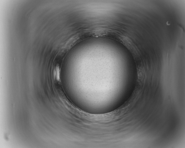 X0000101190046200807071325