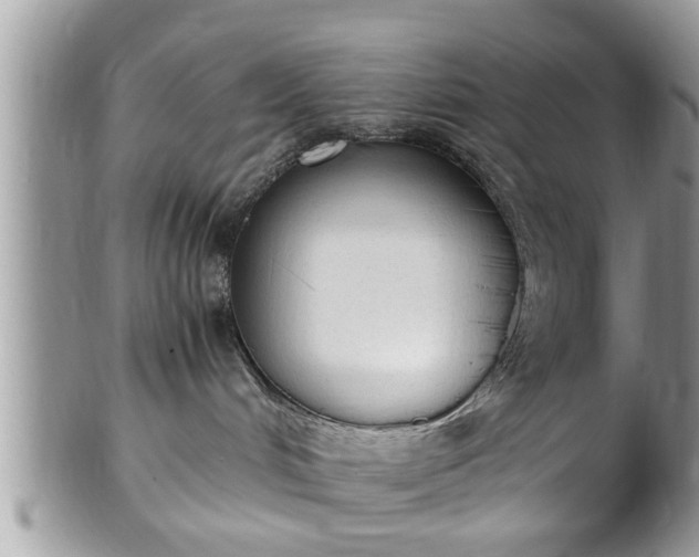 X0000101190048200807071325