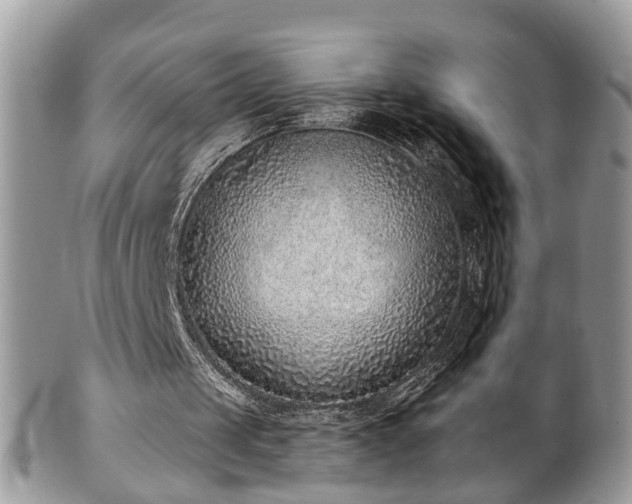 X0000101190049200807071324