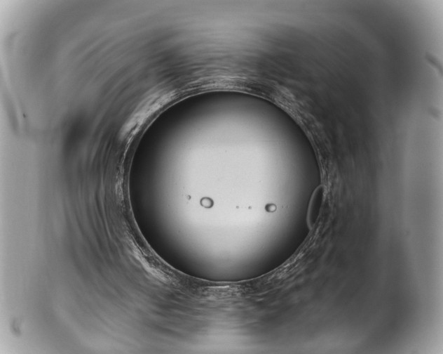 X0000101190050200807071324