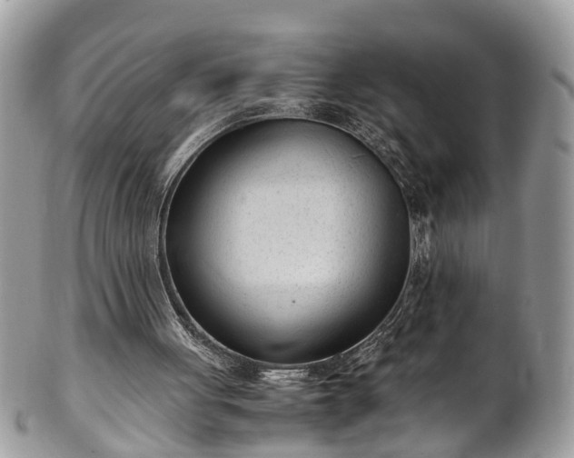 X0000101190051200807071324