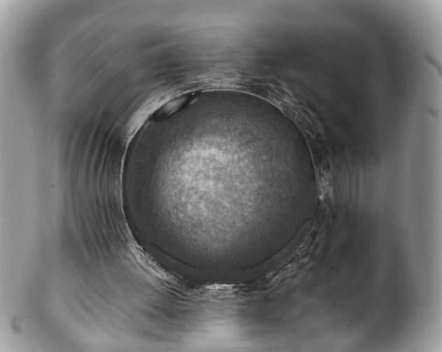 X0000101190052200807071324
