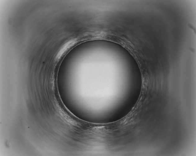 X0000101190054200807071324
