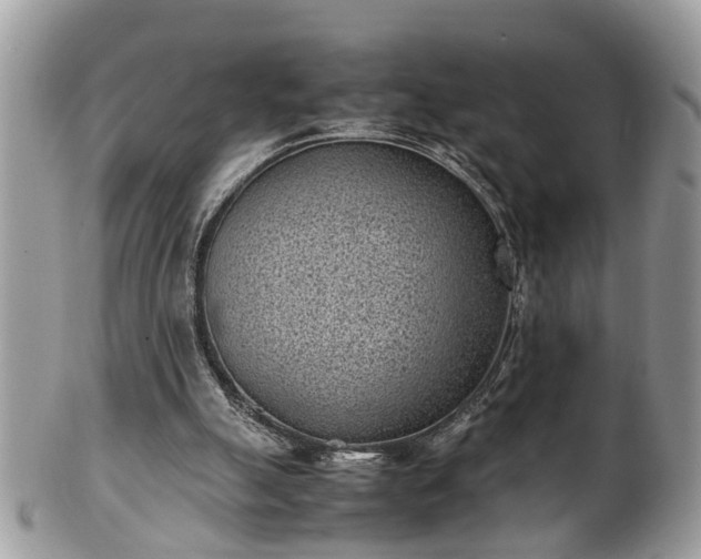 X0000101190055200807071324