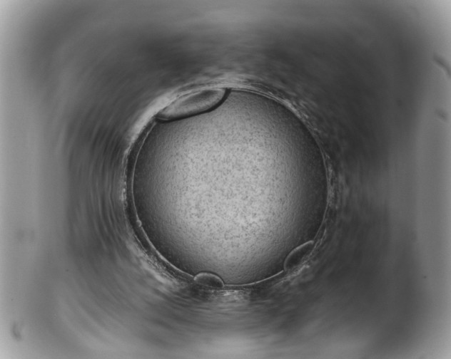 X0000101190056200807071324