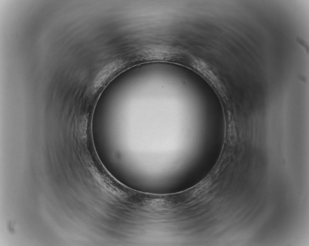 X0000101190058200807071324