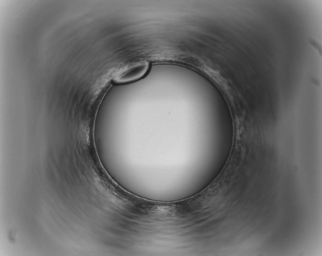 X0000101190060200807071324