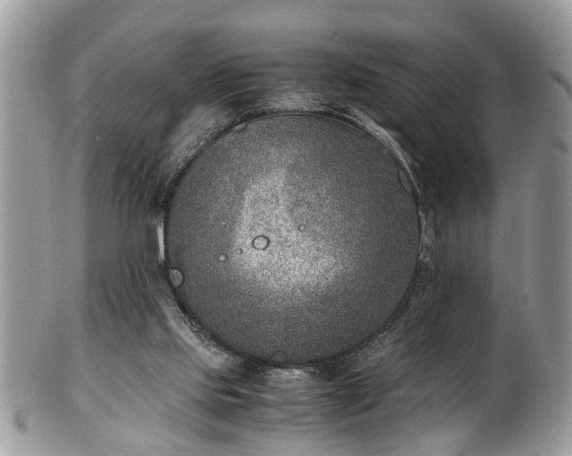 X0000101190061200807071324