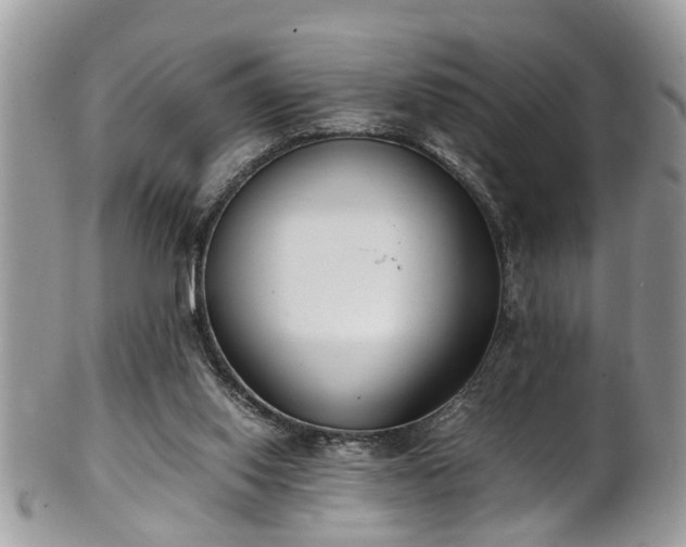 X0000101190062200807071324