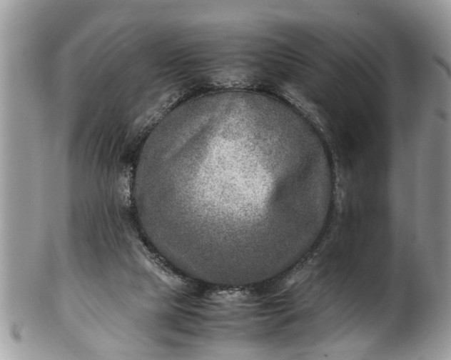 X0000101190065200807071324