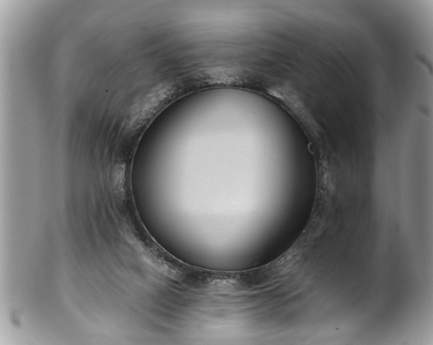 X0000101190066200807071324