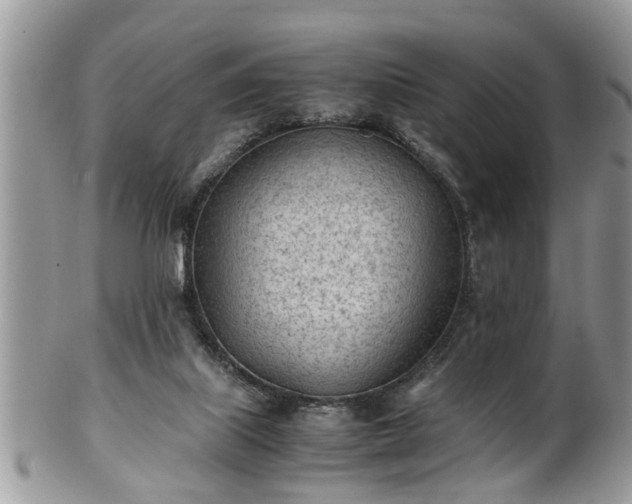 X0000101190067200807071324