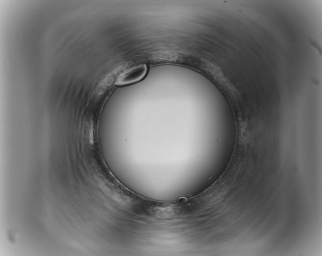 X0000101190068200807071324