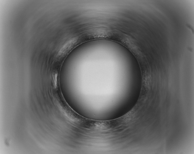 X0000101190070200807071324