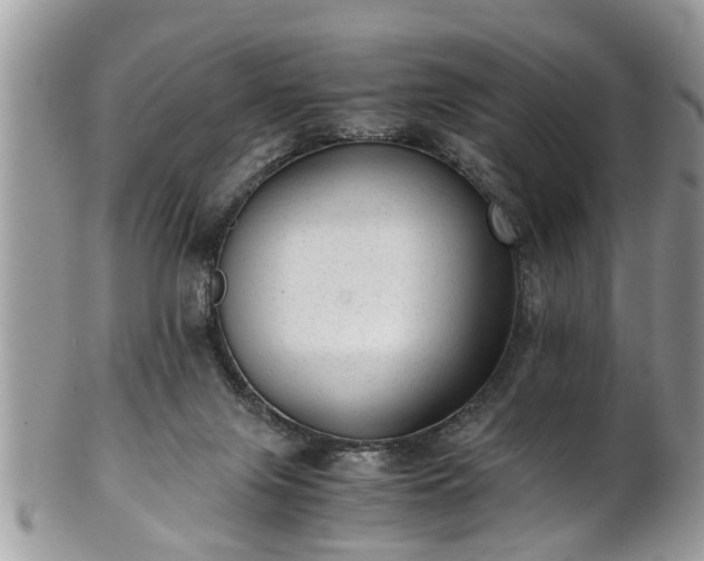 X0000101190071200807071324