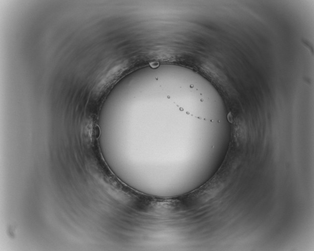 X0000101190072200807071324