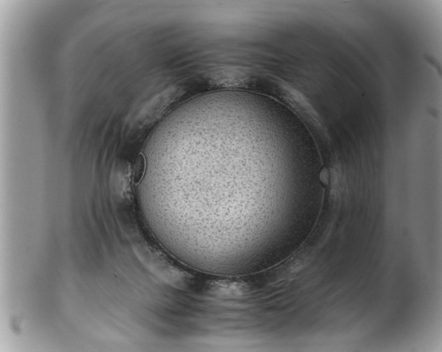 X0000101190073200807071324