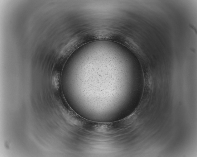X0000101190074200807071324