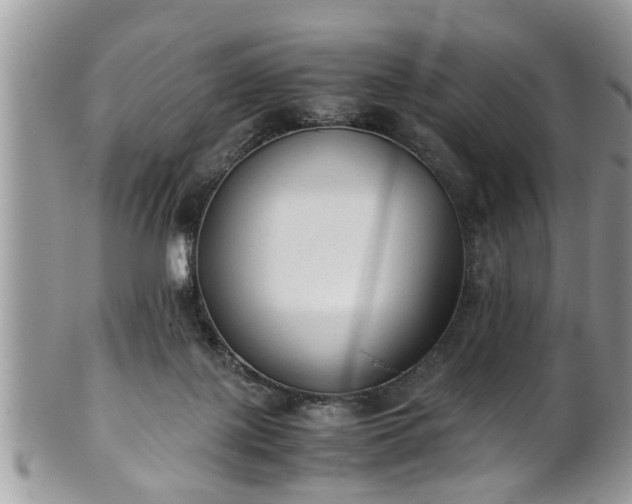 X0000101190075200807071324
