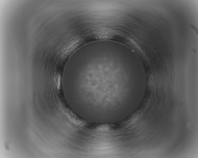 X0000101190076200807071324
