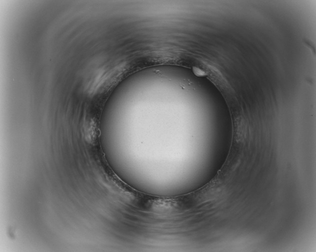 X0000101190077200807071324