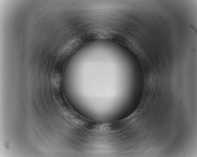 X0000101190078200807071324