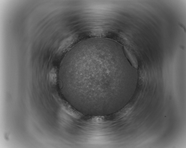 X0000101190080200807071325