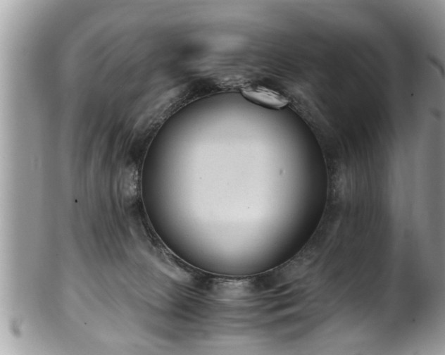 X0000101190081200807071325