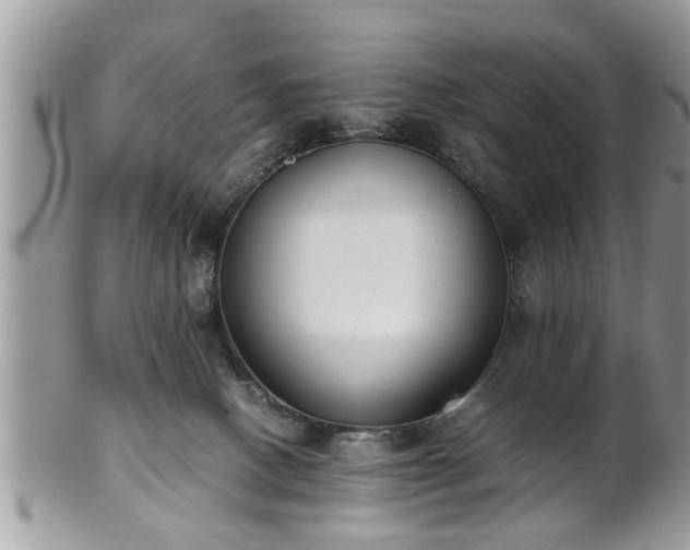 X0000101190082200807071325