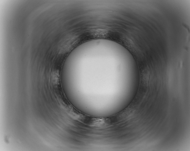 X0000101190083200807071325