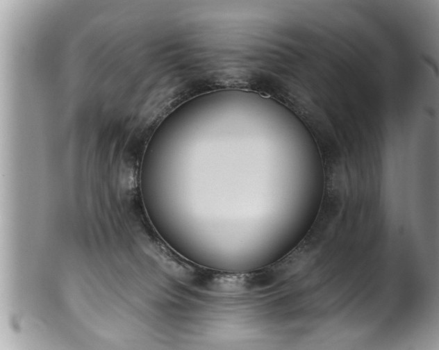 X0000101190084200807071325