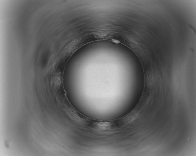 X0000101190085200807071325