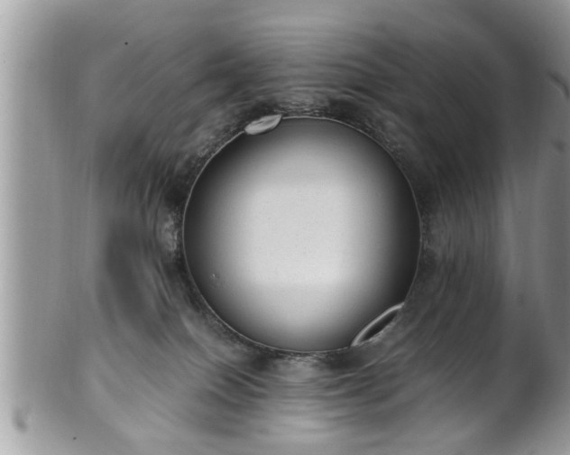 X0000101190086200807071325