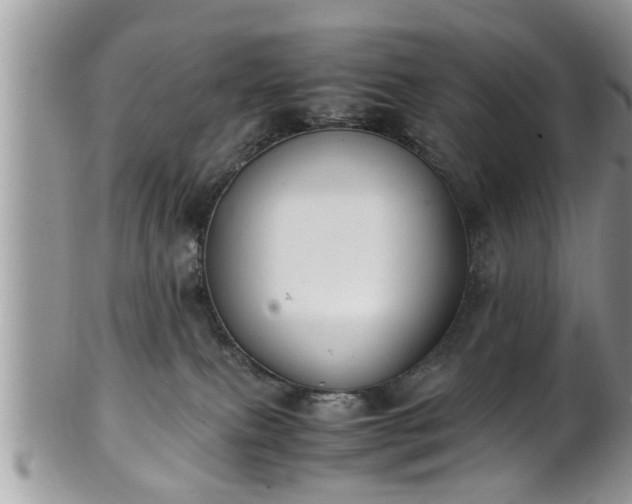 X0000101190087200807071325