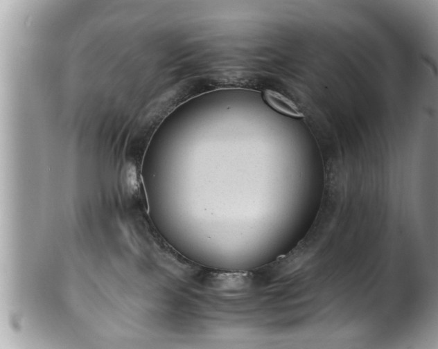 X0000101190089200807071325